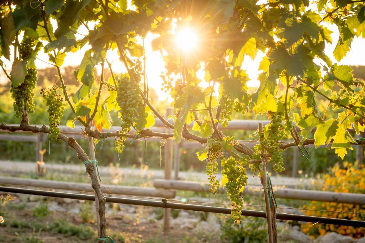 Agriturismo Vigna Corallo Otranto Exteriér fotografie