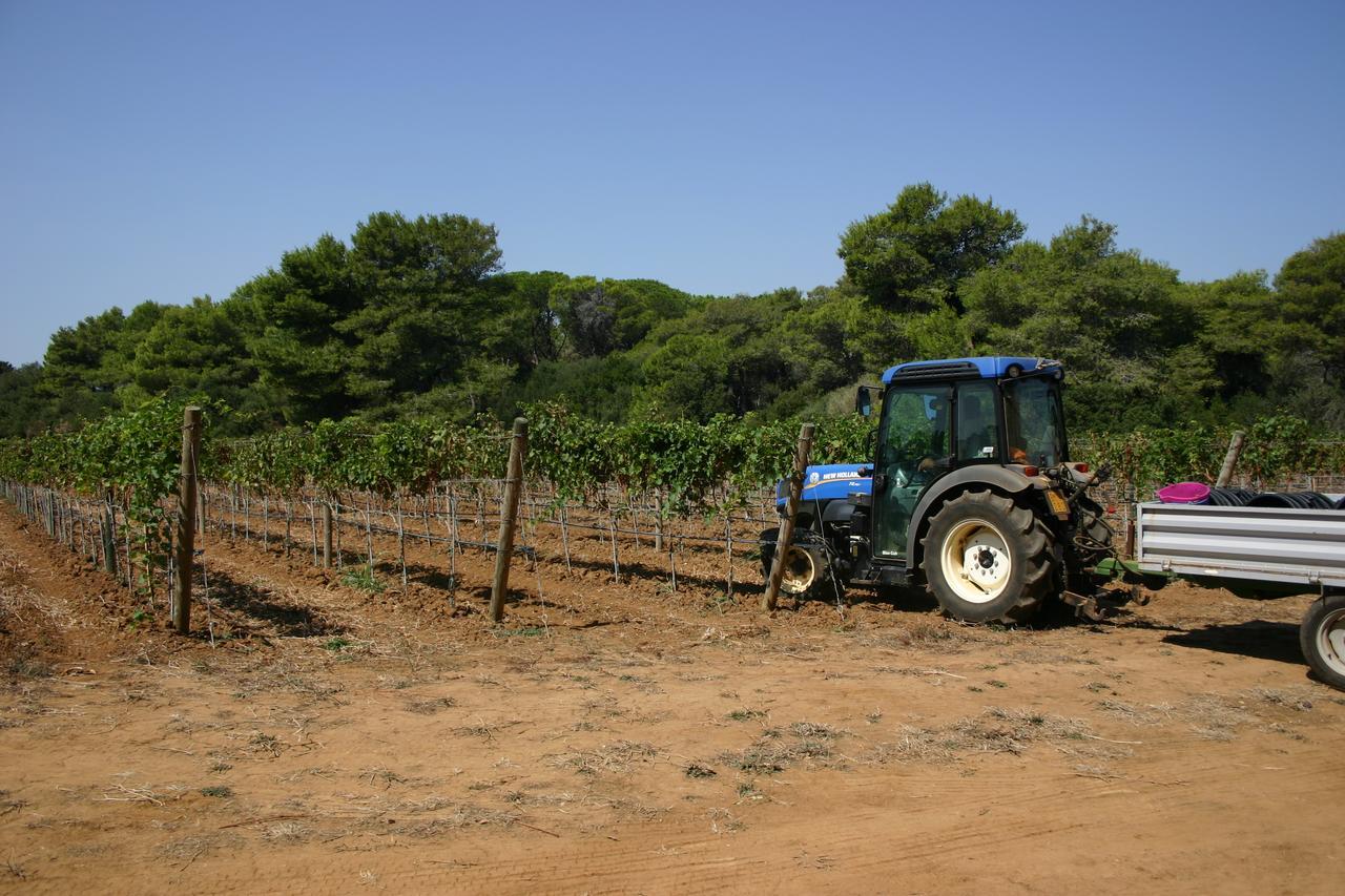 Agriturismo Vigna Corallo Otranto Exteriér fotografie
