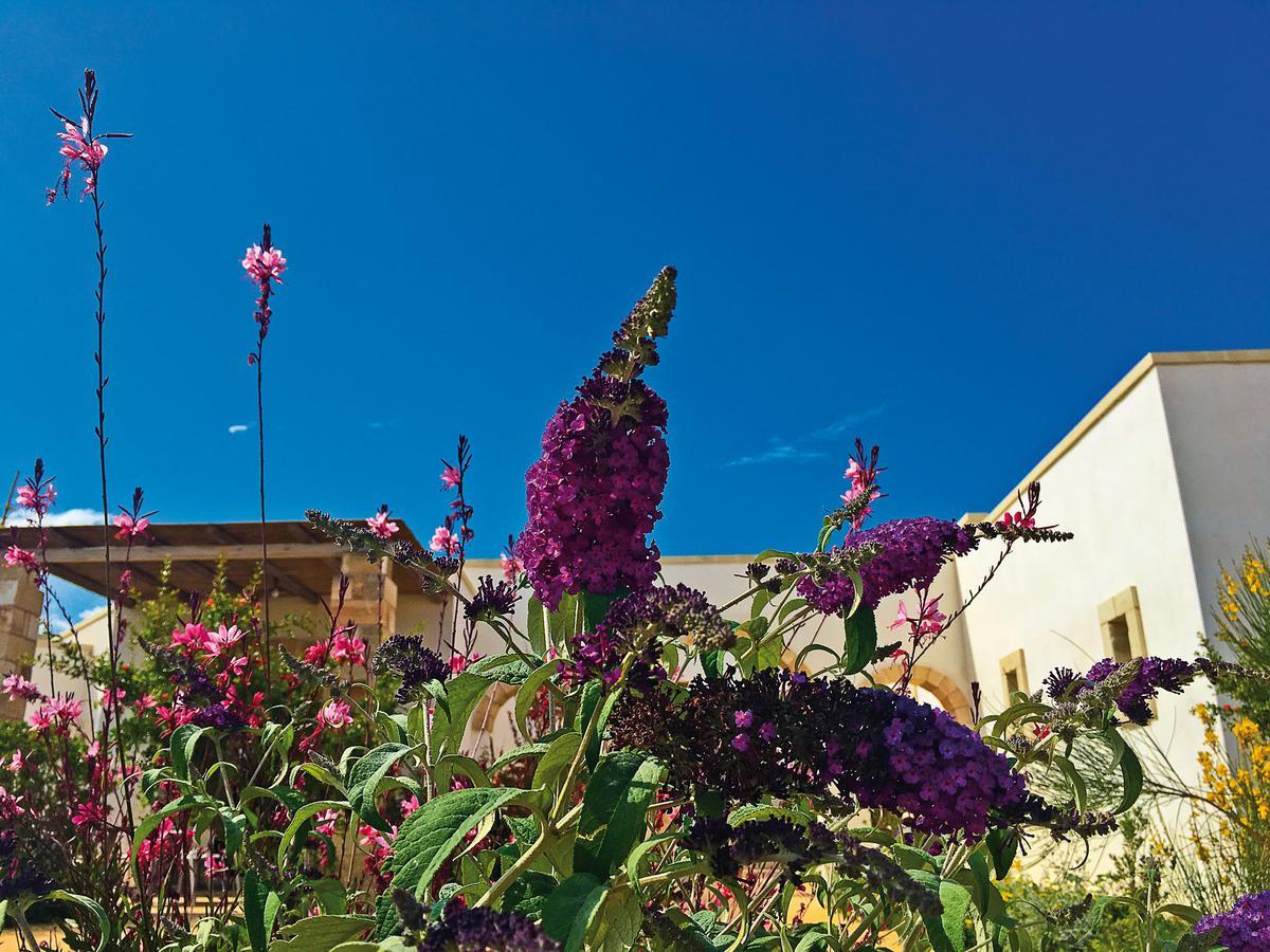 Agriturismo Vigna Corallo Otranto Exteriér fotografie